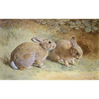 Frank Paton – Two Rabbits, 1899